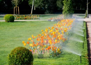 water sprinkler irrigation system, smart irrigation system watering flowers