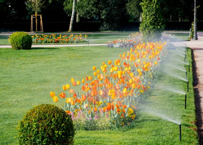 water sprinkler irrigation system, smart irrigation system watering flowers